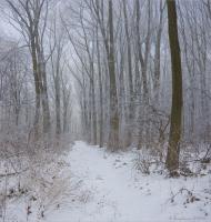 Мишковичі з panoramio.com