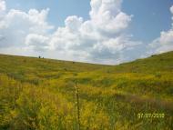 Михайлівка з panoramio.com