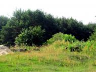 Городець з panoramio.com