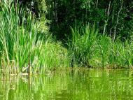 Димитрове з panoramio.com