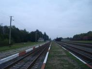 Веснянка з panoramio.com