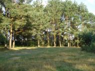 Копилля з panoramio.com