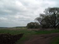 Тарасенки з panoramio.com