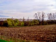 Хижинці з panoramio.com