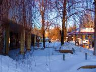 Володимирівське з panoramio.com