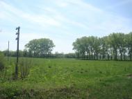 Старі Бейзими з panoramio.com