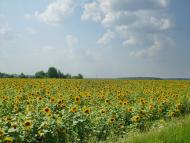 Трубочка з panoramio.com