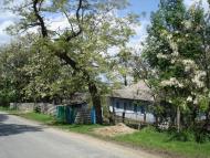 Заміхів з panoramio.com