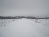 Загальці з panoramio.com