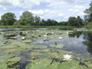 Гатище з panoramio.com