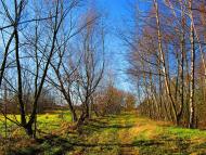 Гійче з panoramio.com