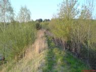 Марчихина Буда з panoramio.com