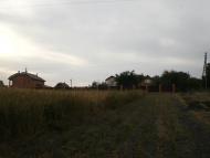 Кривецьке з panoramio.com