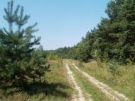 Бережне з panoramio.com