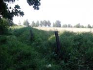 Кузьминці з panoramio.com