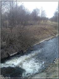 Макове з panoramio.com