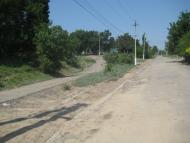 Нові Трояни з panoramio.com