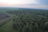 Підлісся з panoramio.com