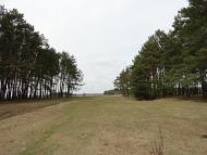 Копилля з panoramio.com