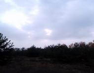 Вишняки з panoramio.com - Вишняки