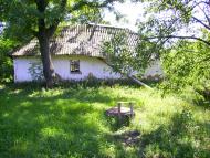 Ставище з panoramio.com - Ставище