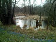 Ярова з panoramio.com