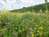 Михайлівка з panoramio.com