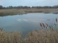 Шевченко з panoramio.com