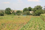 Калініне з panoramio.com