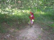 Нова Ушиця з panoramio.com