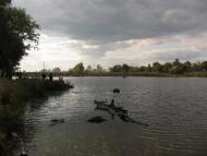 Хроли з panoramio.com