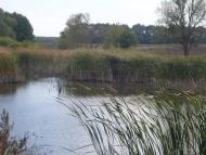 Кузьминці з panoramio.com