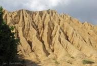 Пасічне з panoramio.com