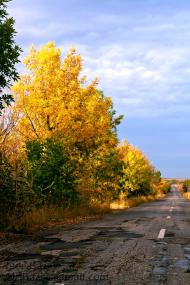 Пасічне з panoramio.com