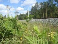 Червоний Цвіт з panoramio.com