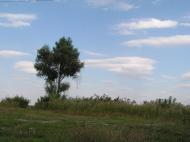 Красна Коса з panoramio.com