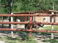 Путрівка з panoramio.com