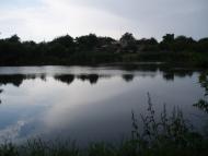 Комісарівка з panoramio.com