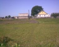 Пліщин з panoramio.com