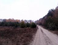 Вишняки з panoramio.com - Вишняки