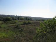 Гаврилівка з panoramio.com