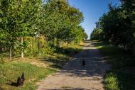 Краснопілка з panoramio.com - Краснопілка