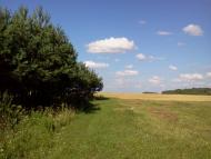 Цеперів з panoramio.com