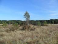 Арламівська Воля з panoramio.com