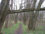 Переможне з panoramio.com