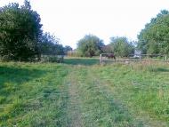 Новий Витків з panoramio.com