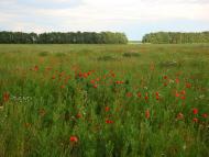 Клітчин з panoramio.com