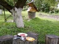 Великі Глібовичі з panoramio.com