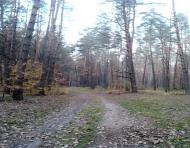 Вишняки з panoramio.com - Вишняки