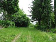 Саранчуки з panoramio.com